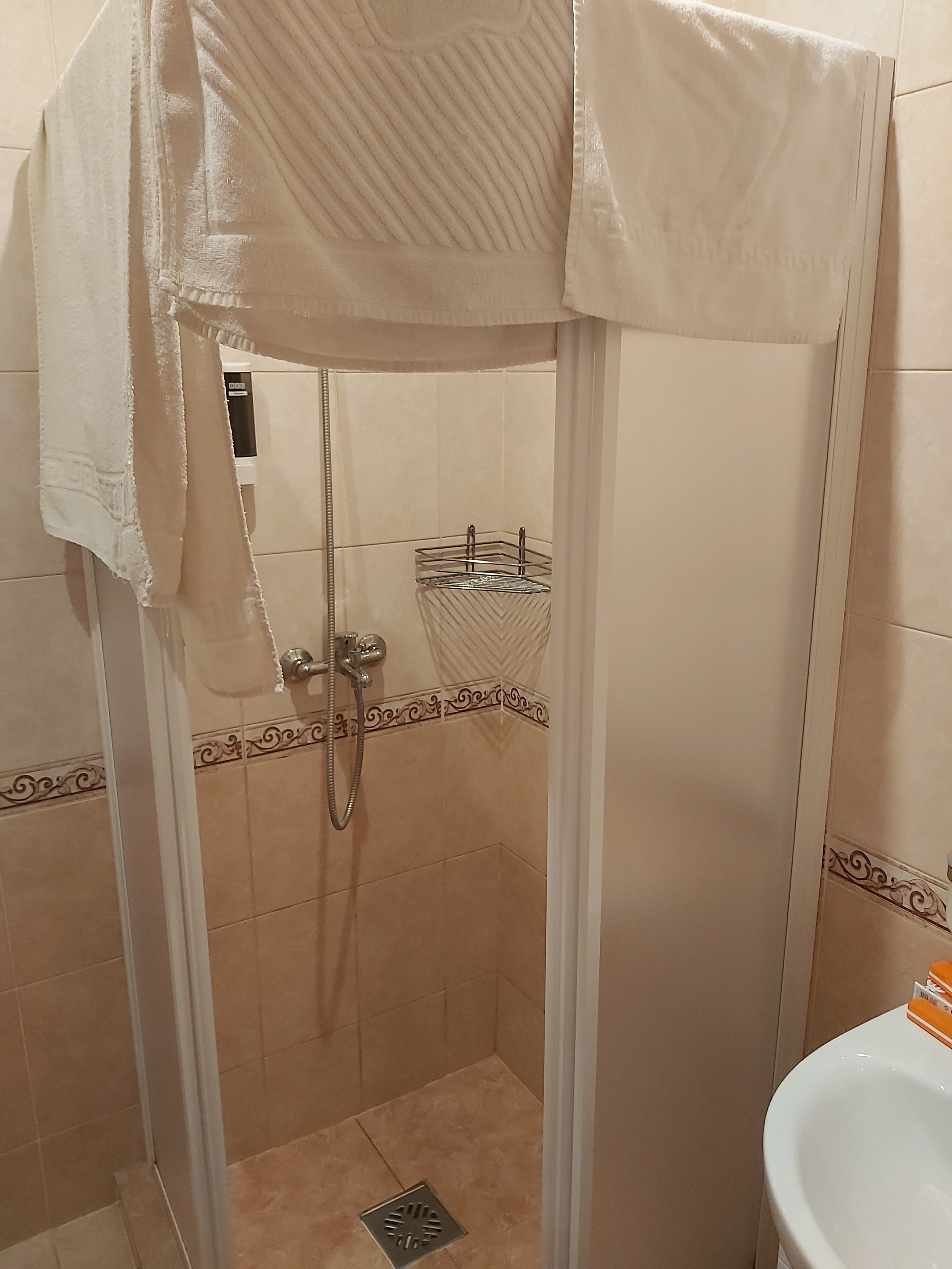 Hotel Teremok Moskovsky-浴室