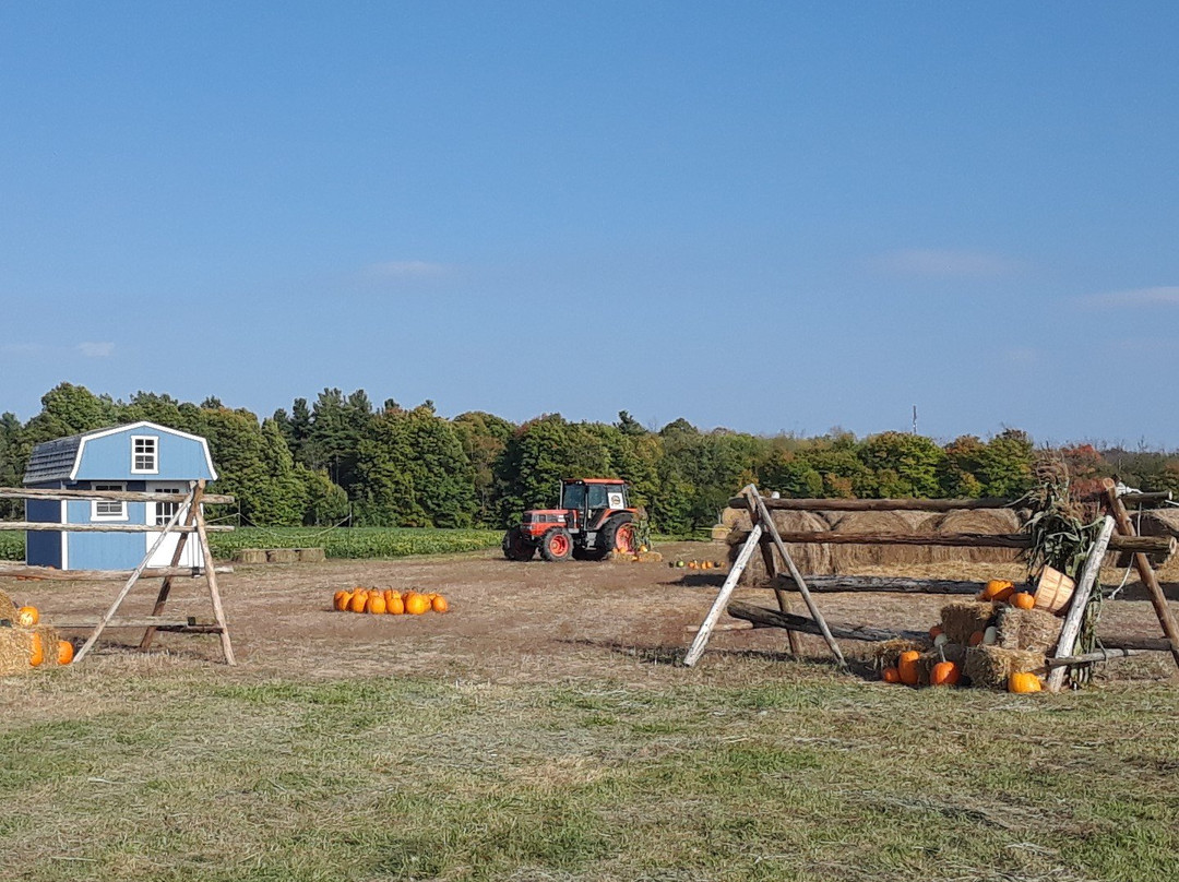Miller's Bay Farm景点图片