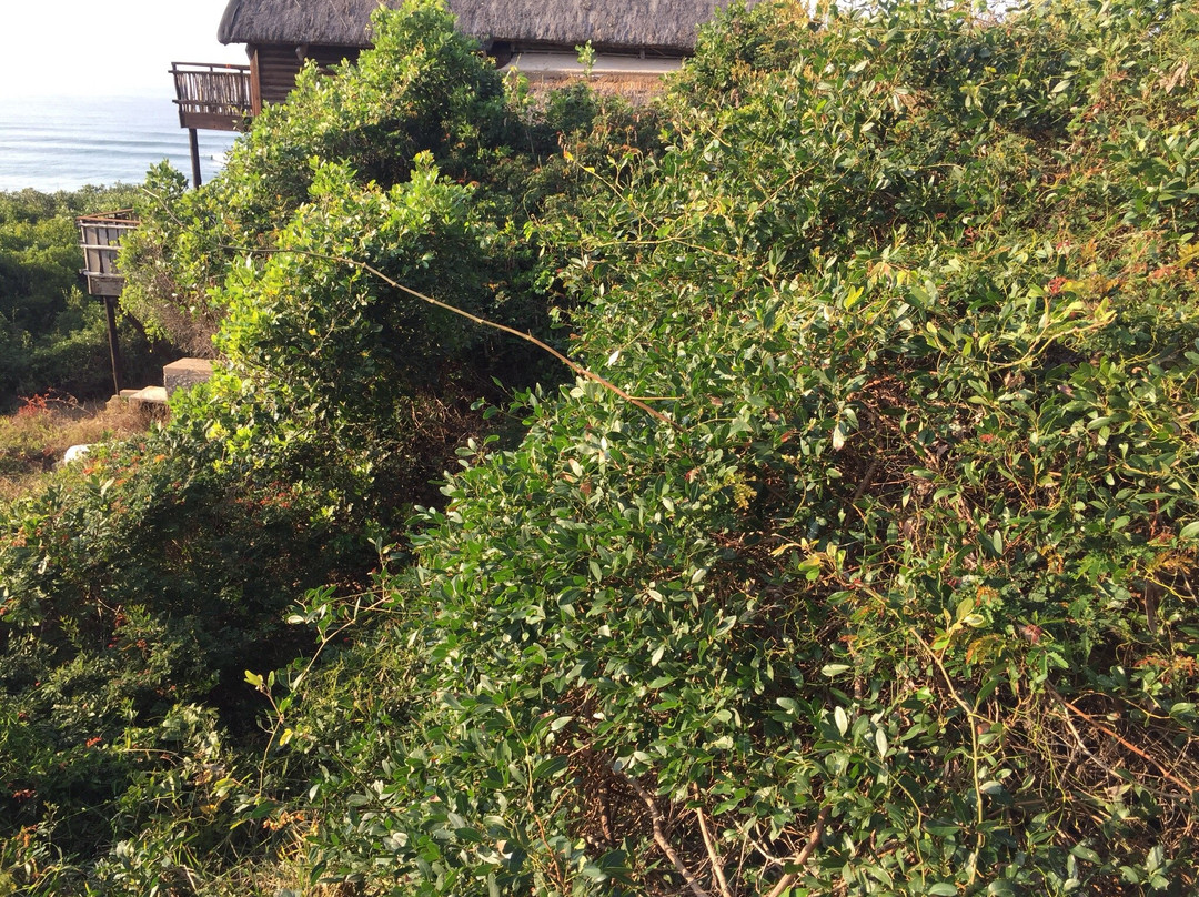 Sunset Beach Resort主图