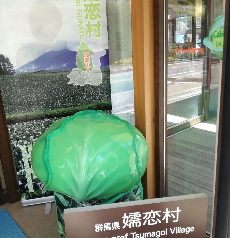 Tsumagoi Village Tourist Information Center景点图片