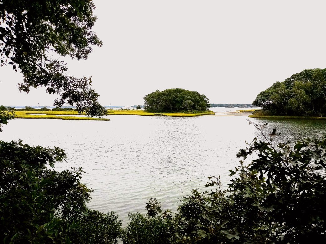 Mashomack Preserve-Shelter Island必去景点