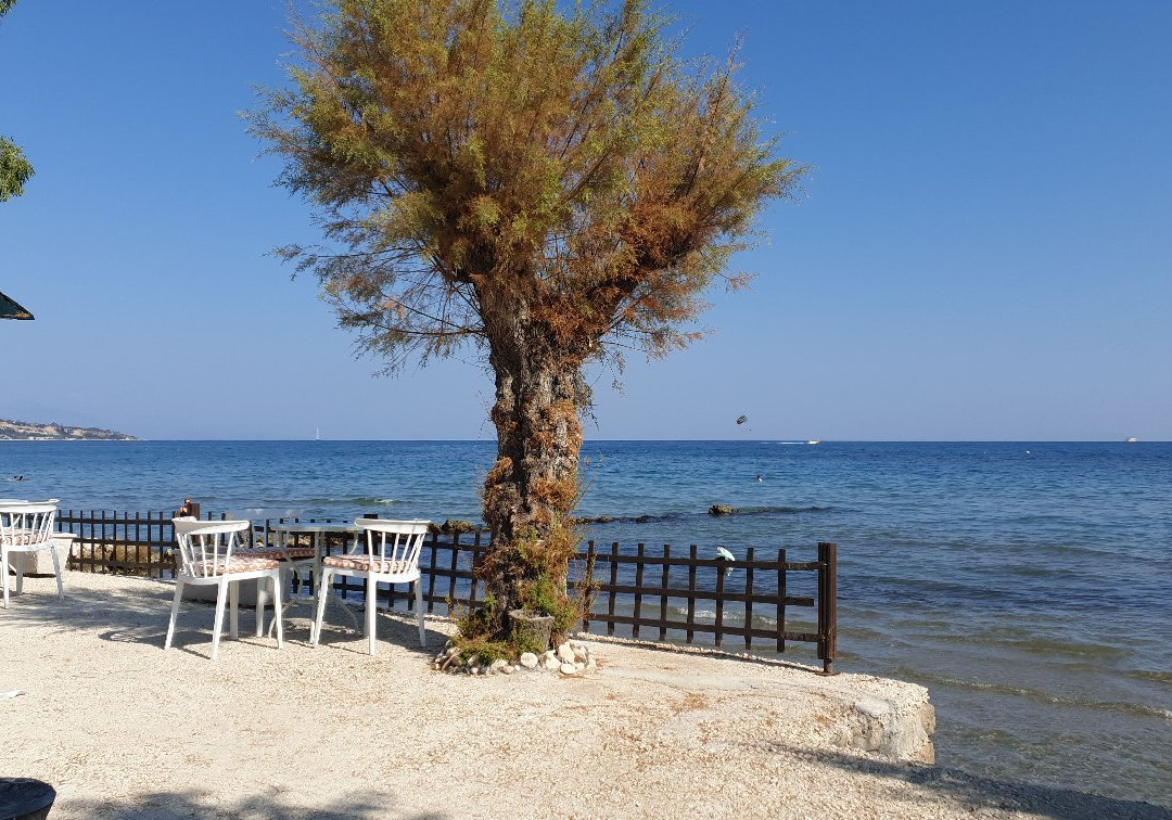 Mimoza Beach Bar-Argassi必去景点