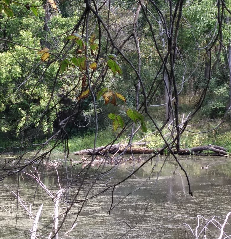 Chippewa Nature Center景点图片