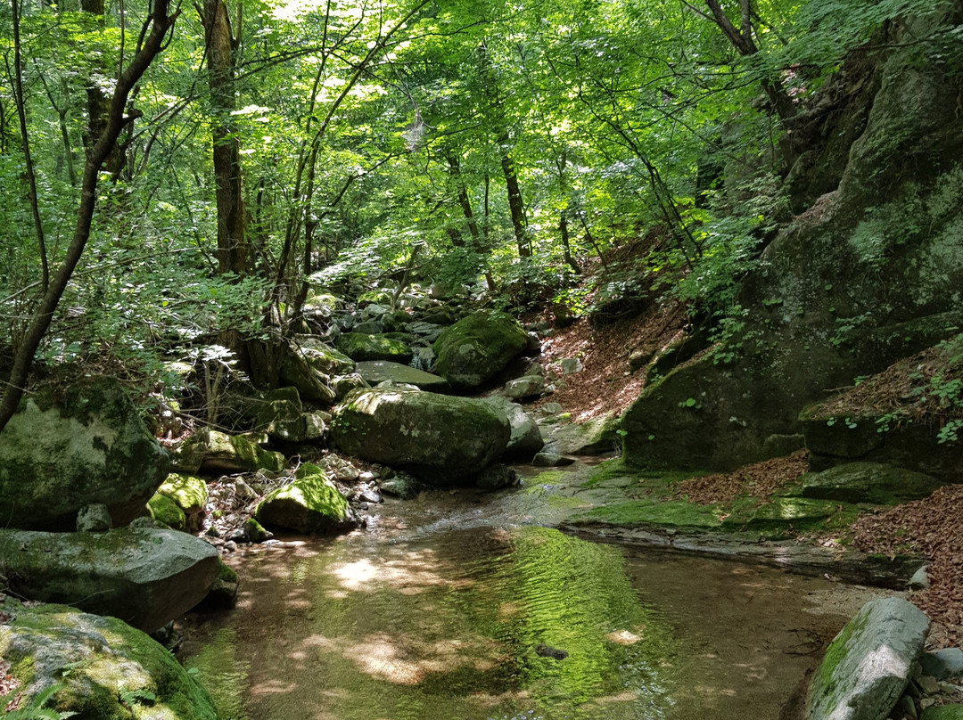 Bangtaesan Recreational Forest-麟蹄郡必去景点