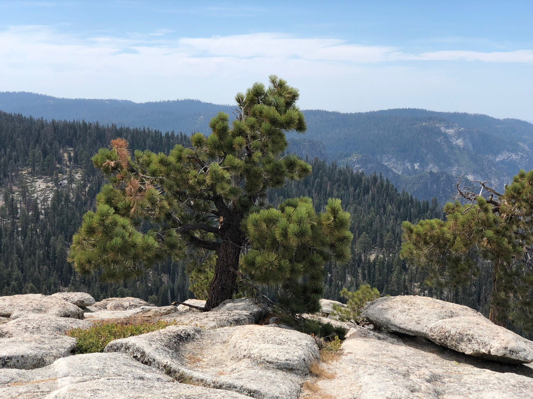 Yosemite Close Up Tours-马里波萨必去景点