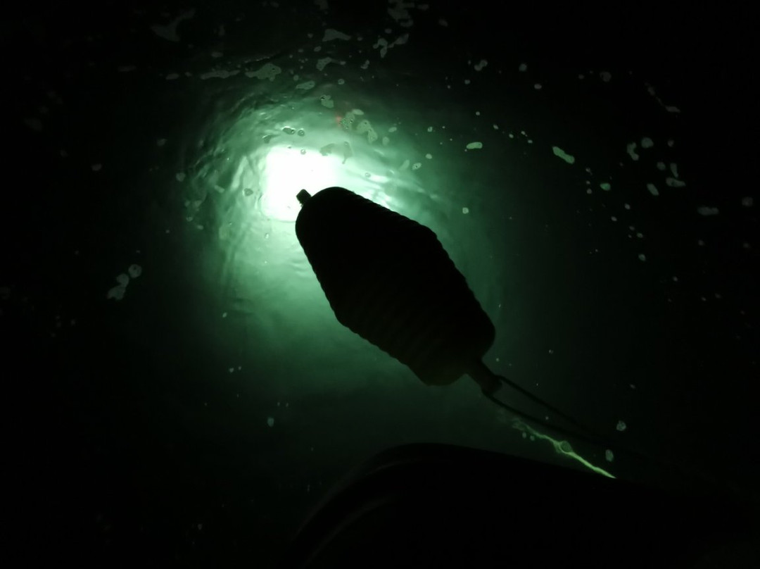 Albarella Diving Center-Isola Albarella必去景点