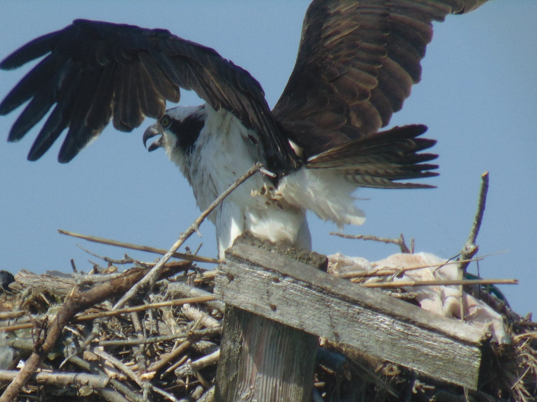 Assawoman Canal-Millville必去景点