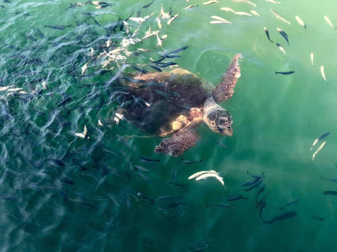 Istuzu Beach-Ortaca必去景点
