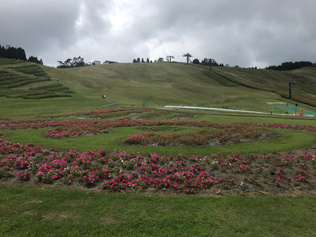 Mt. Hakodate-高岛市必去景点