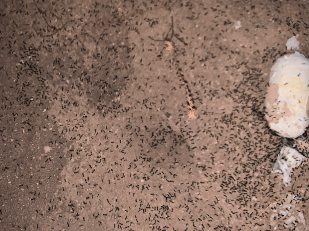 GSN Camp Agafay主图