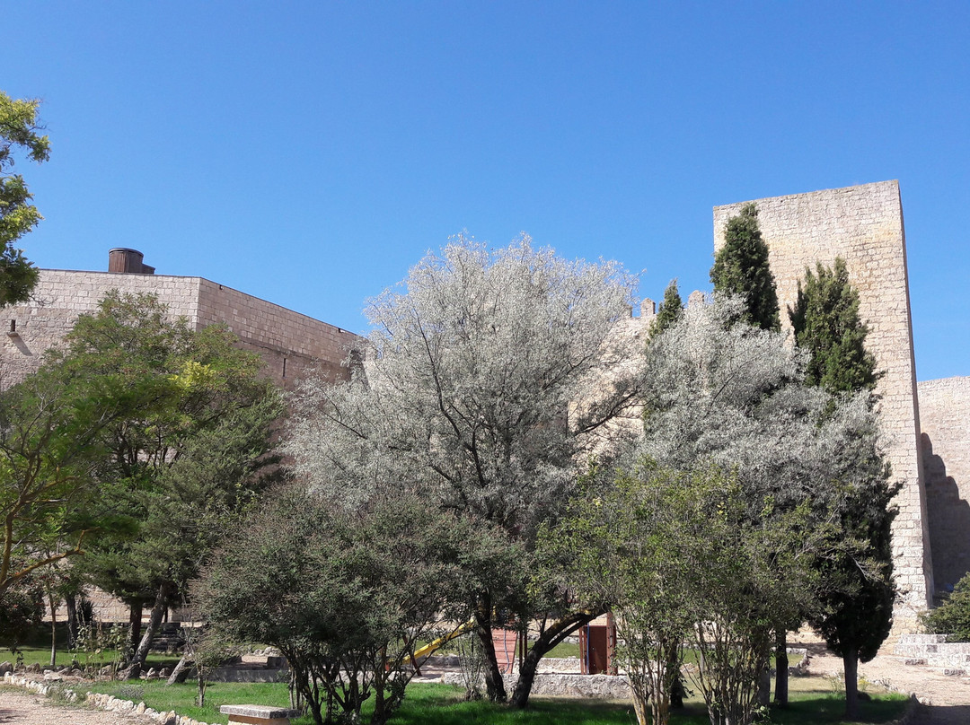 Castillo de Montealegre de Campos景点图片