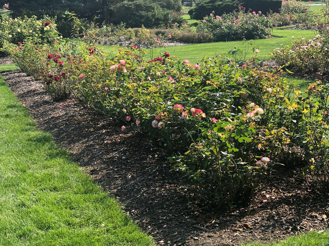 Lakeside Park & Rose Garden-韦恩堡必去景点