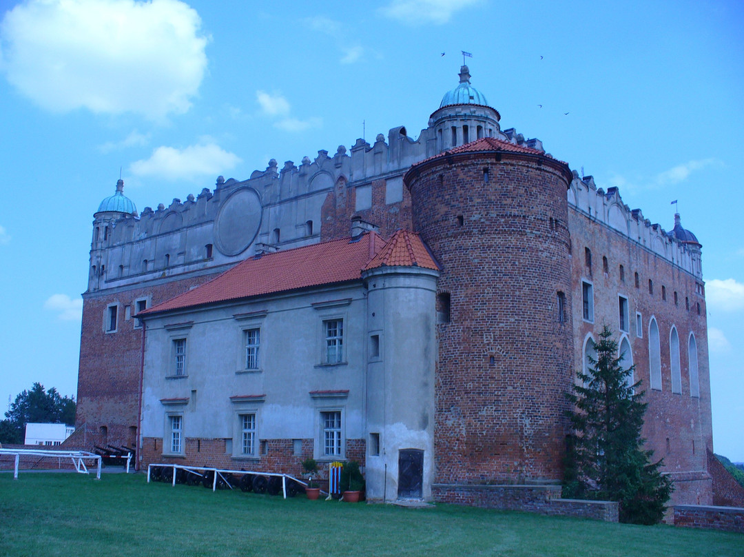 Zamek w Golubiu景点图片