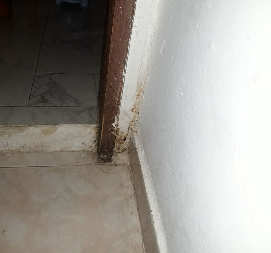 Pension Mistral主图