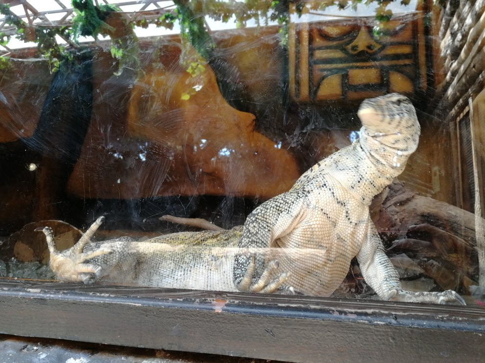 Crocodile Farm-苏达克必去景点