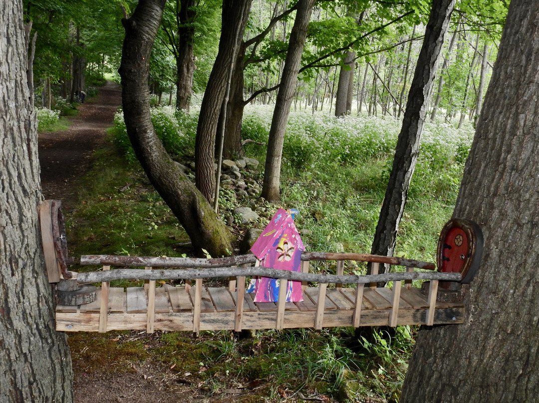 Mendon Ponds Park-Pittsford必去景点