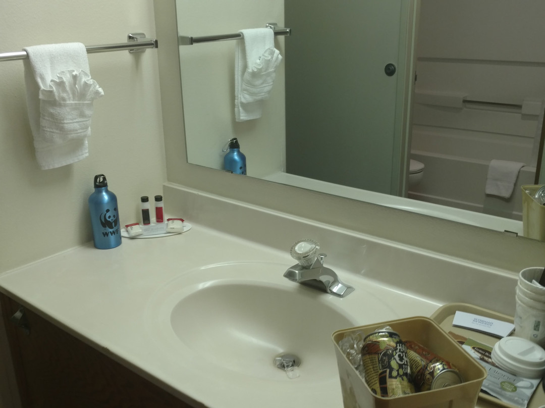 Super 8 by Wyndham Fruita主图