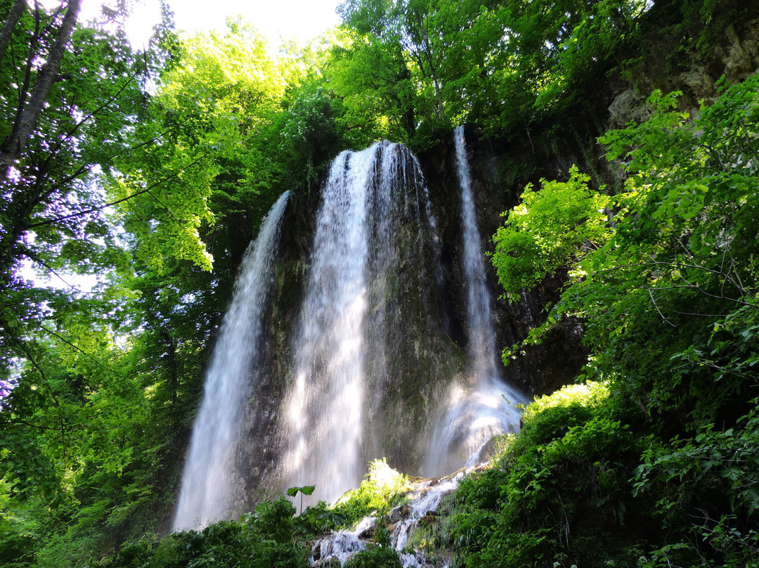 Park Forest Jankovac景点图片