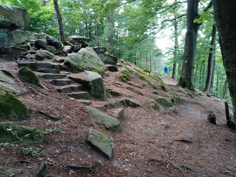 Palzer Weltachs-Hochspeyer必去景点