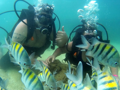 Submerso Scuba Diver-嘎林海斯港必去景点