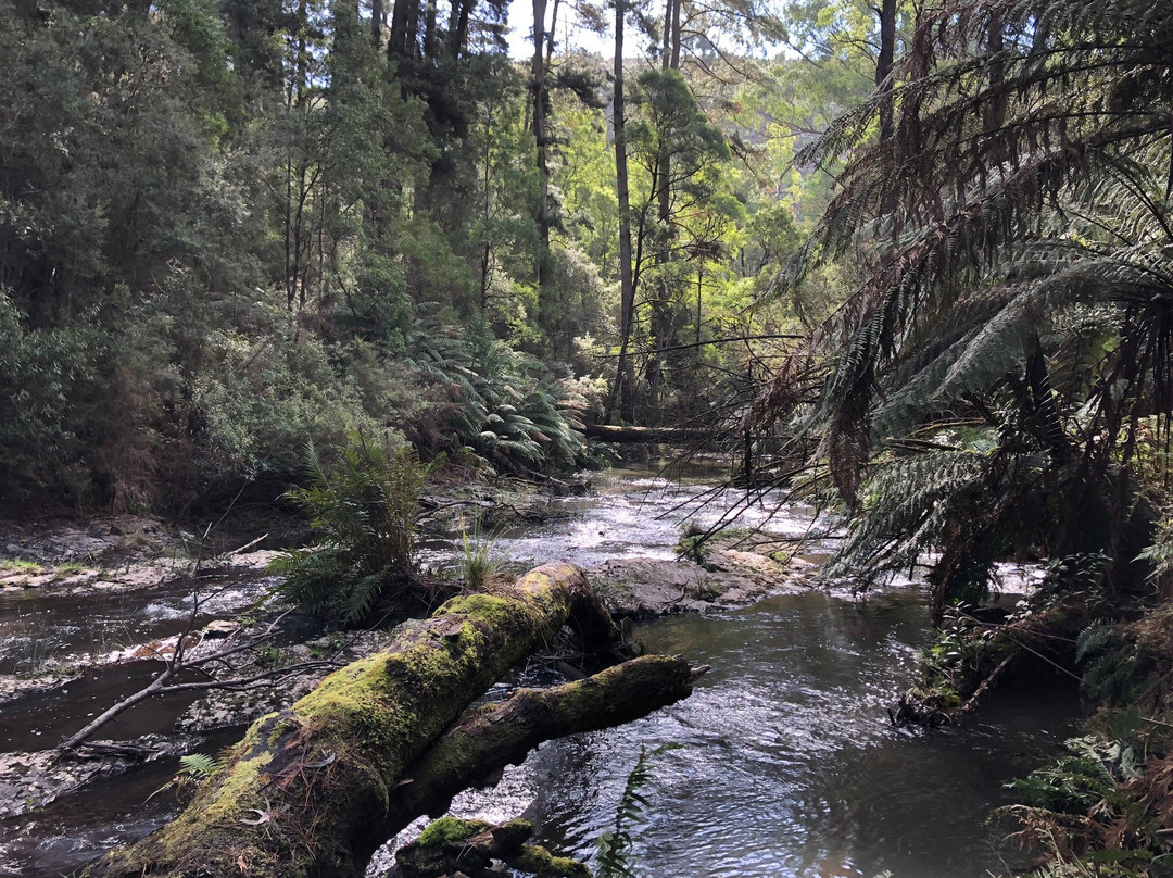 Morwell River Falls-Boolarra必去景点
