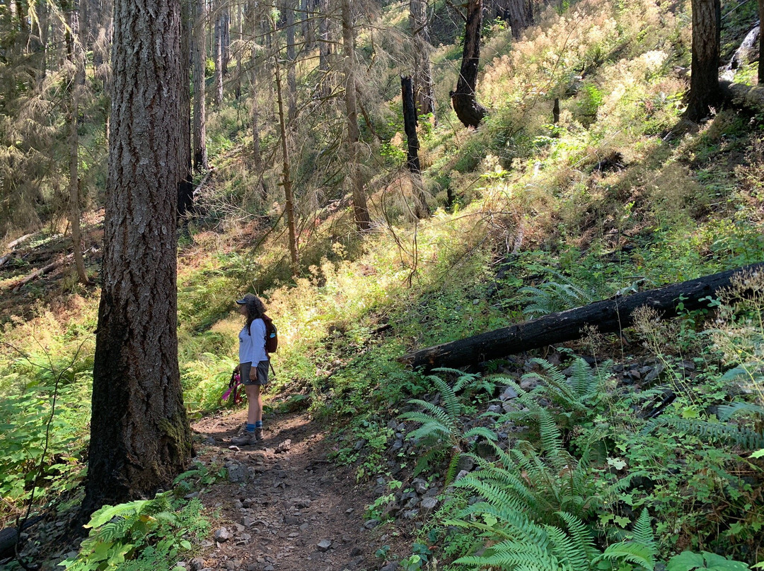 Dry Creek Falls Hike-Cascade Locks必去景点