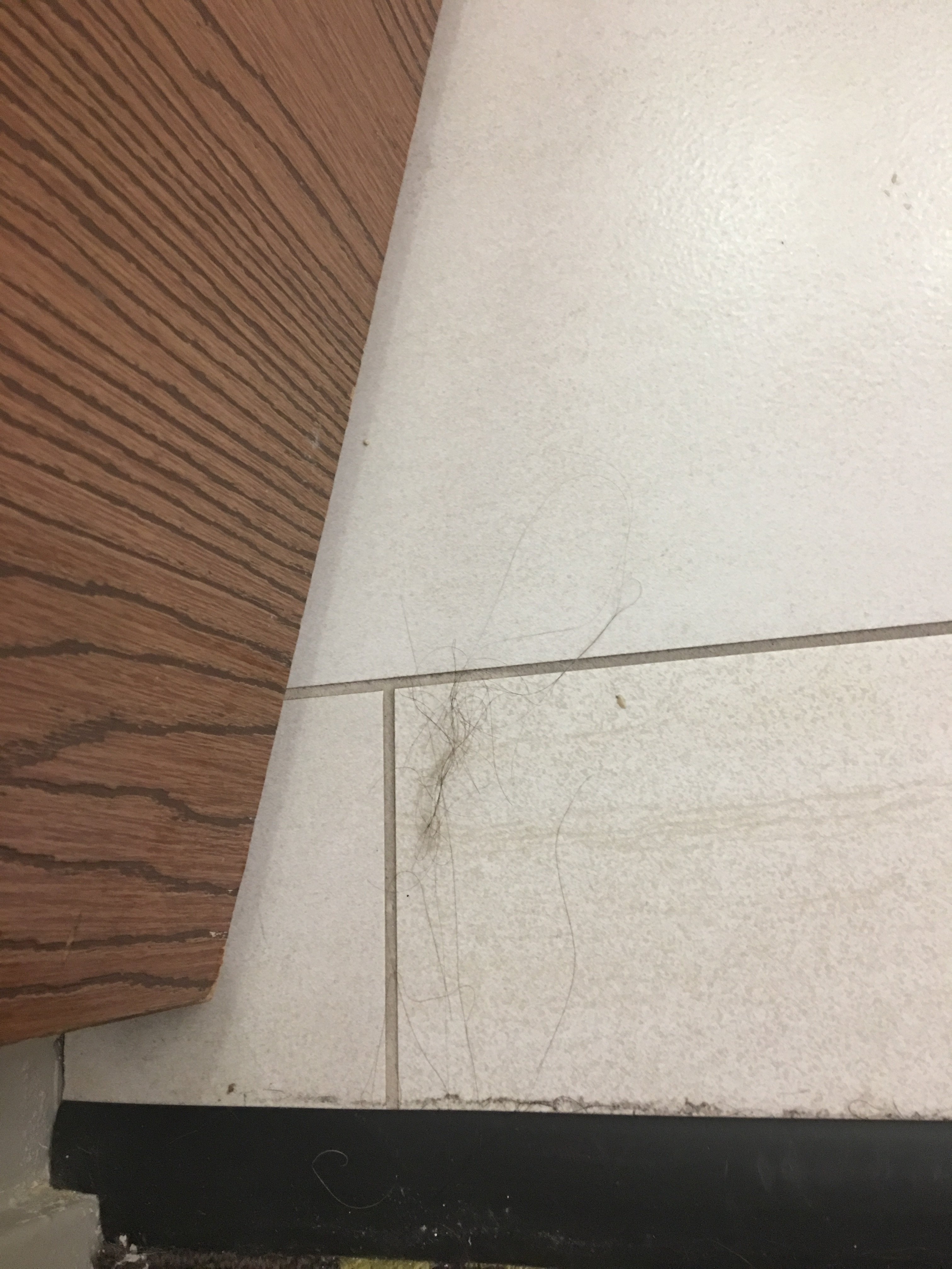 Holiday Inn Express & Suites Dayton-Huber Heights, an IHG Hotel-浴室