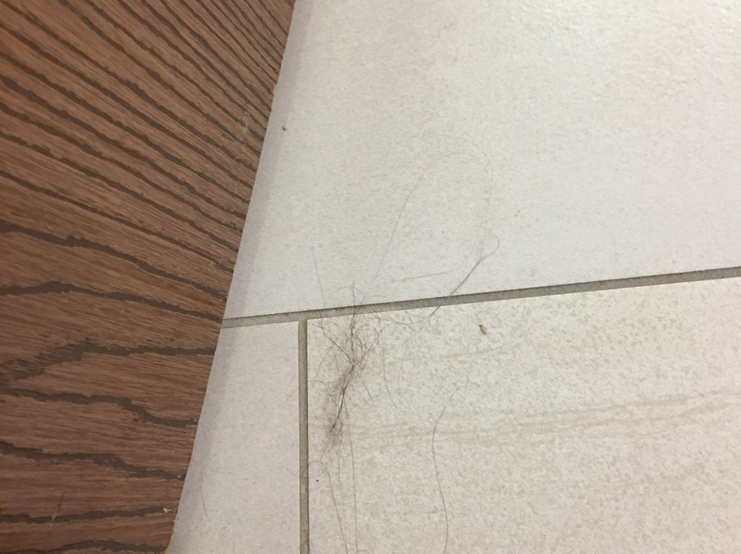 Holiday Inn Express & Suites Dayton-Huber Heights by IHG主图