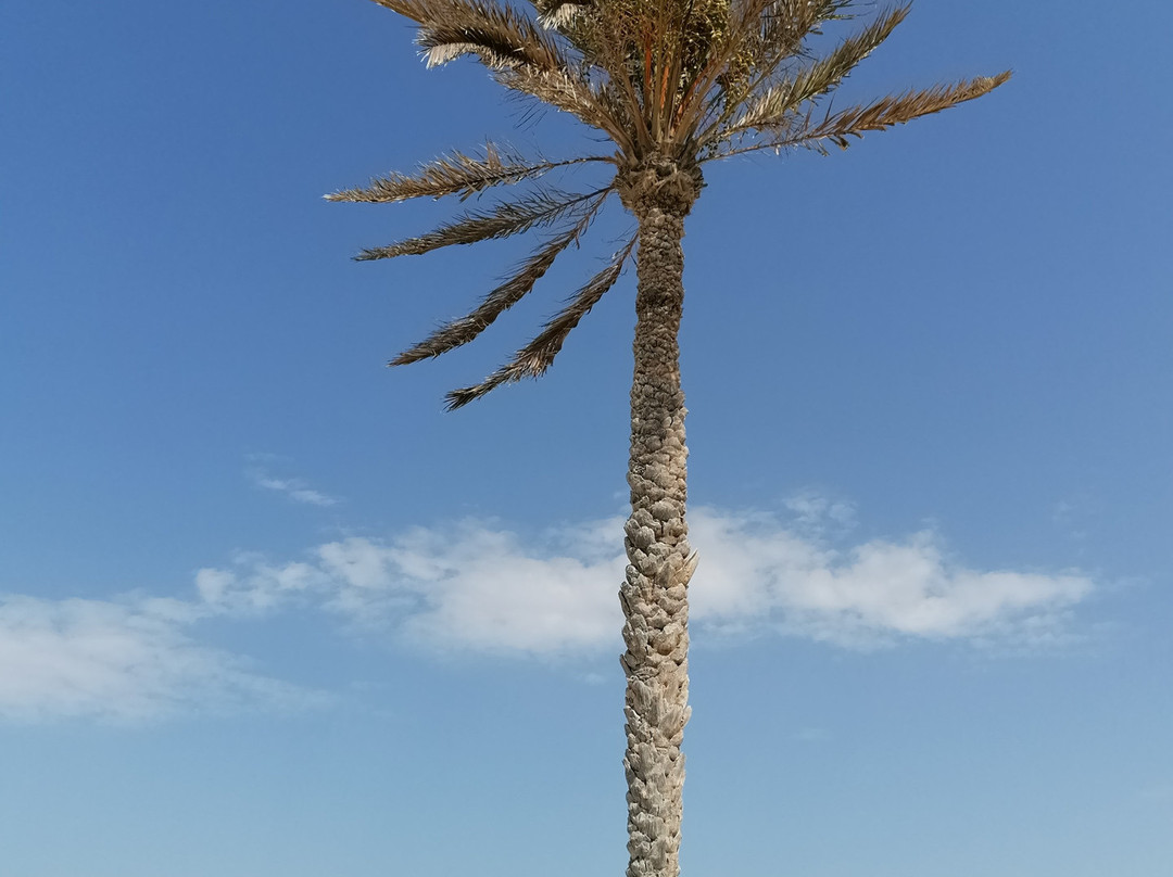 Sangho Zarsis Hotel主图