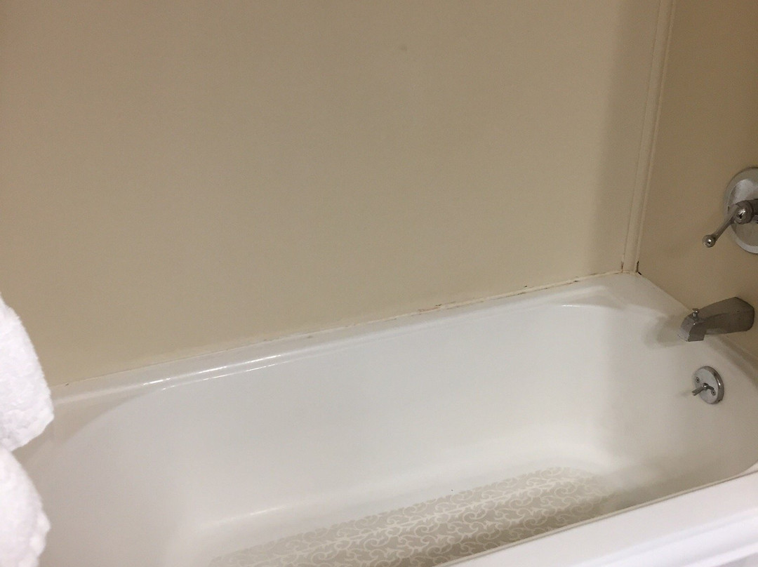 Quality Inn Milan-Sandusky主图