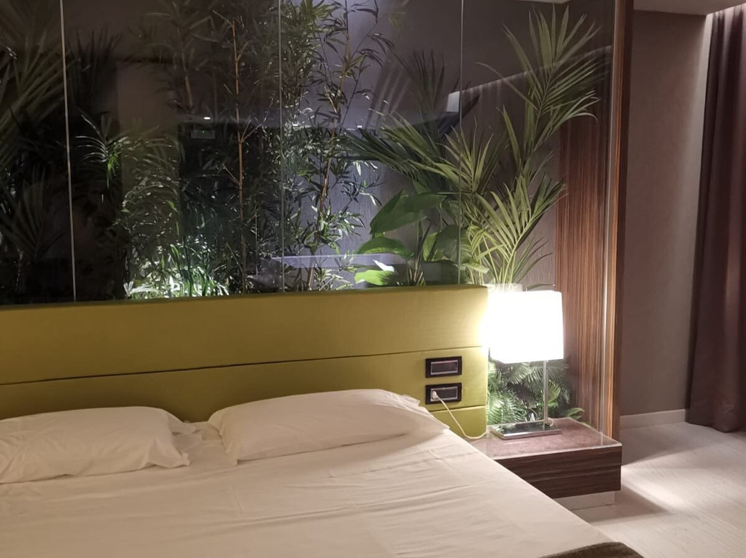 Viola Mhotel主图