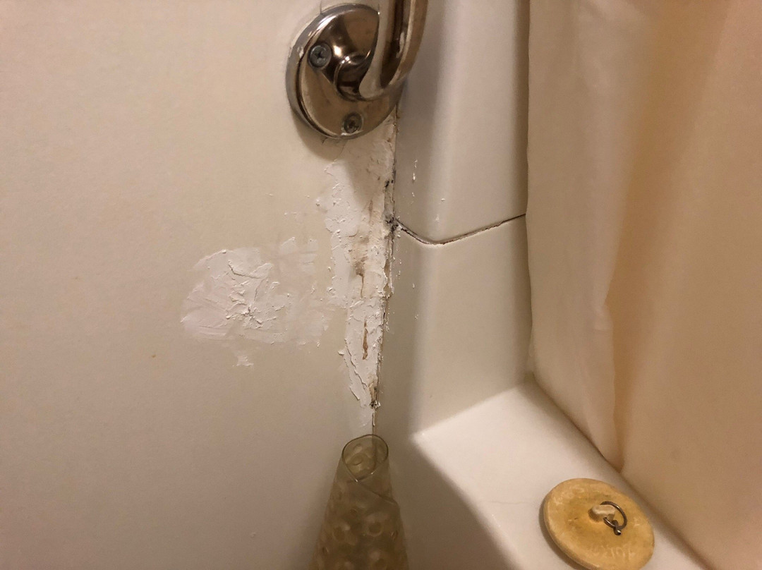 Country View Motor Inn主图