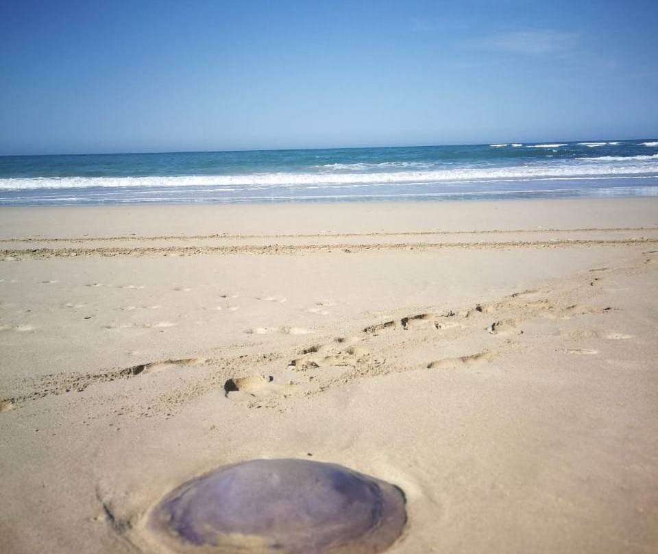 Paradise Beach-杰佛瑞湾必去景点