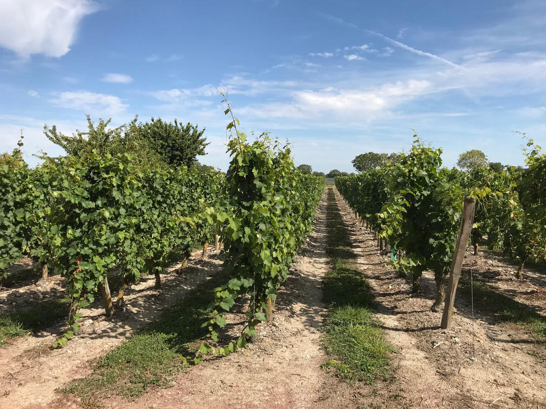 Gîte Les Loges De Vignes主图