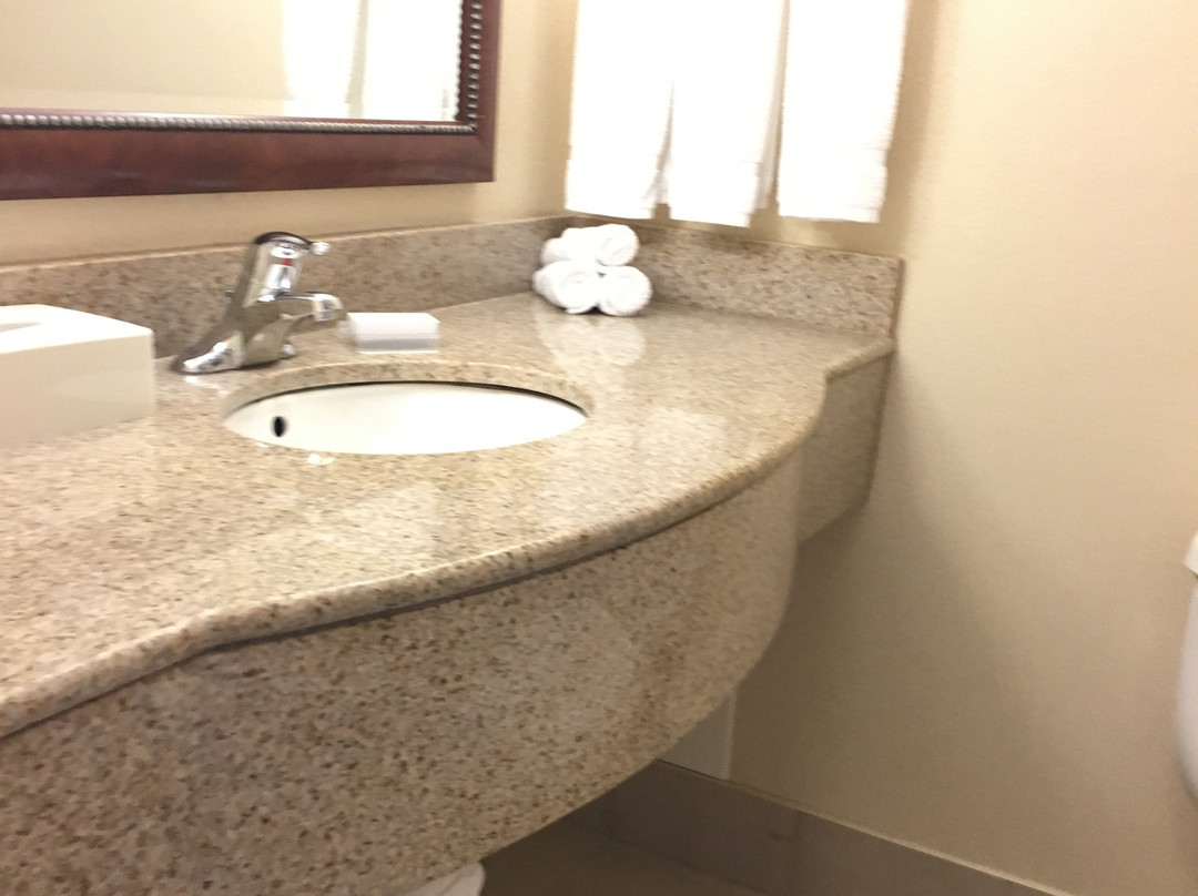 多伦多伯林顿希尔顿花园酒店主图