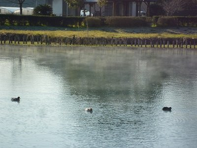 Ukishima Shrine景点图片