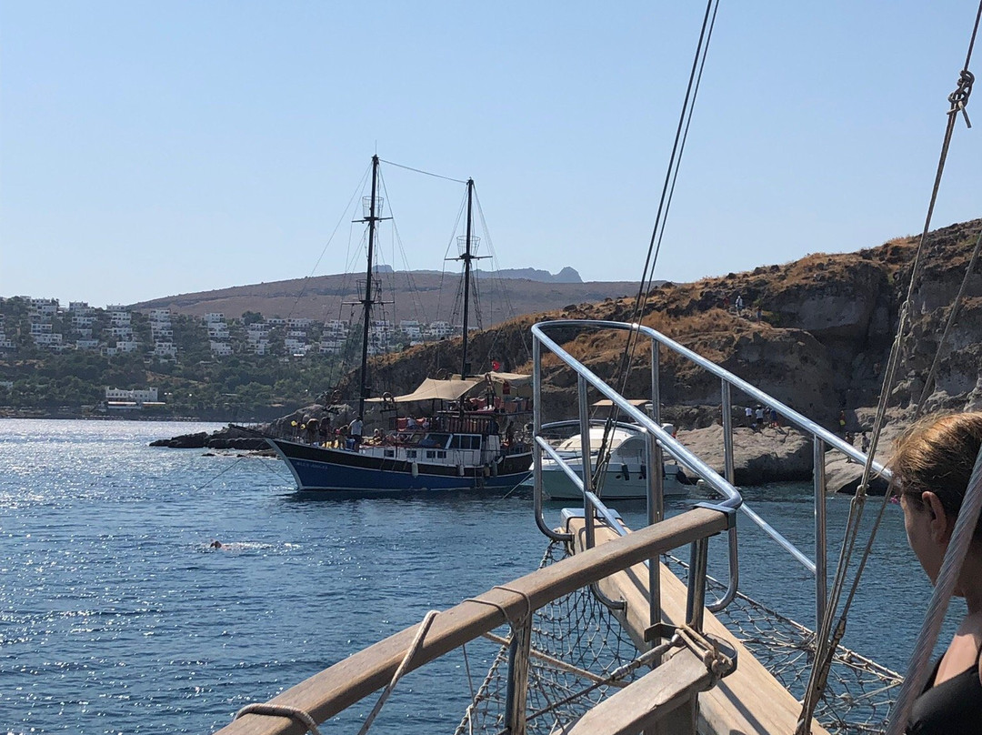 Akbaba Deniz Boat景点图片