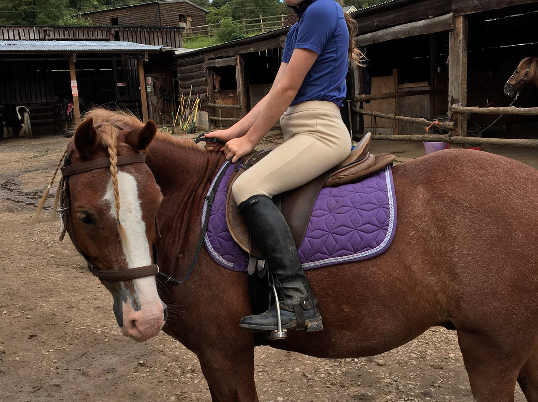 Penycoed Riding Stables-Pant必去景点