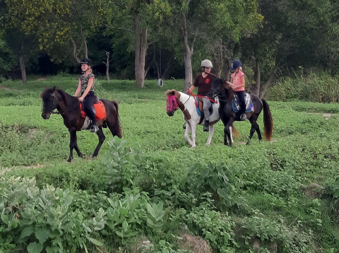 Hua Hin Horse Club-Nong Kae必去景点