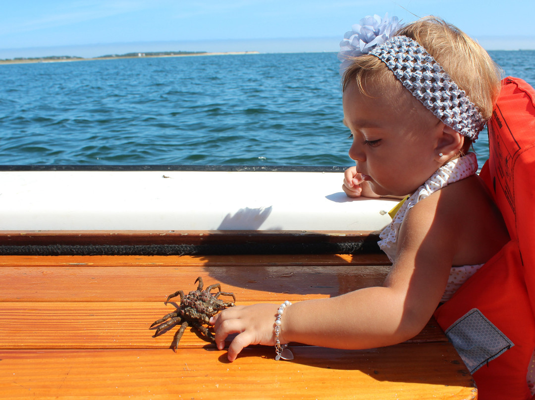 Chatham Boat Tours-查塔姆必去景点