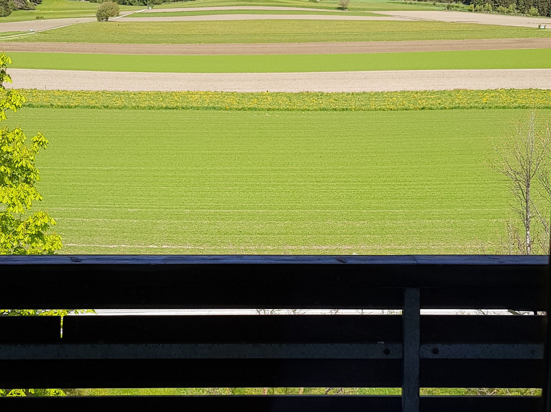 科夫雷霍酒店主图