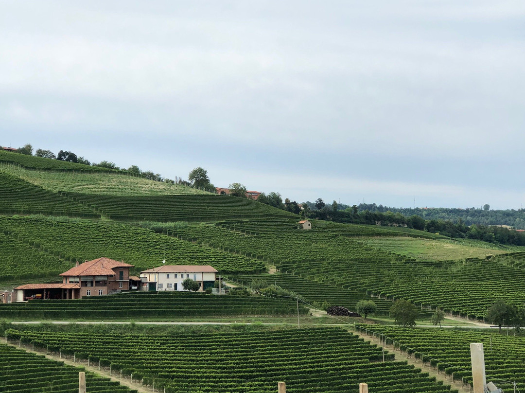 Strada Romantica delle Langhe e del Roero景点图片
