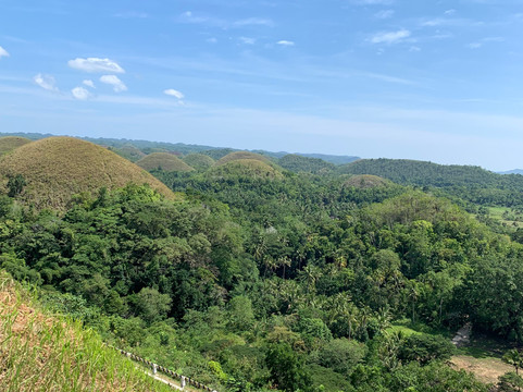 Bohol Island Tour-塔比拉兰必去景点