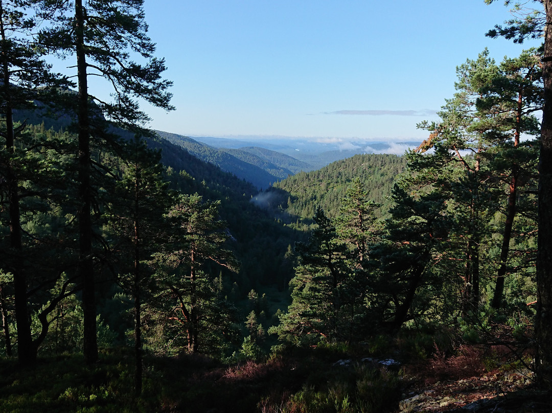 Ardalsknapen in Bygland景点图片