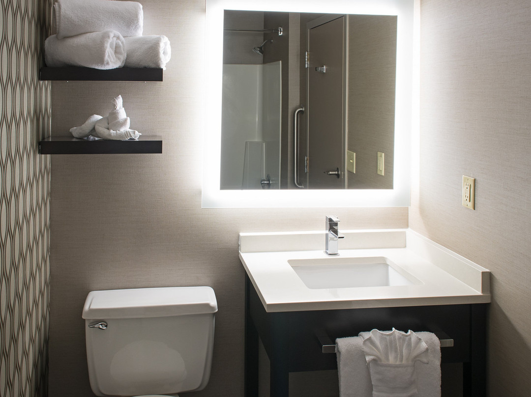 圣保罗市中心假日酒店主图