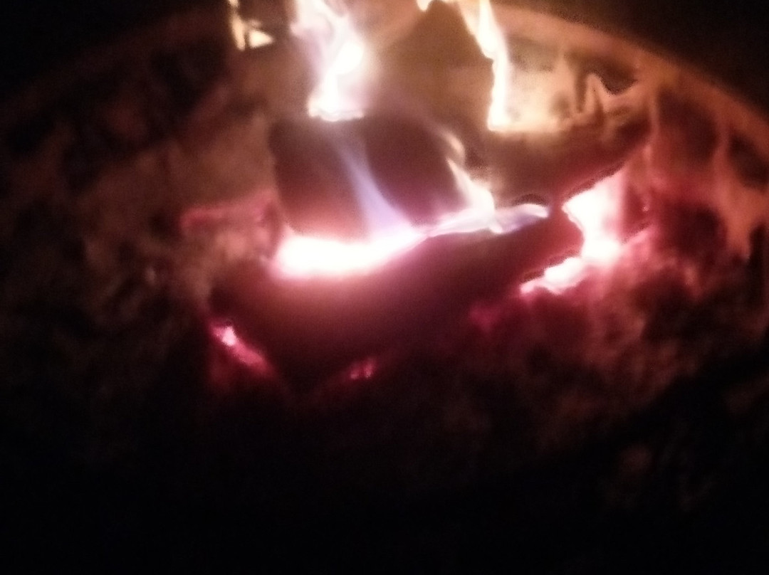 Dixie Haven Resort主图