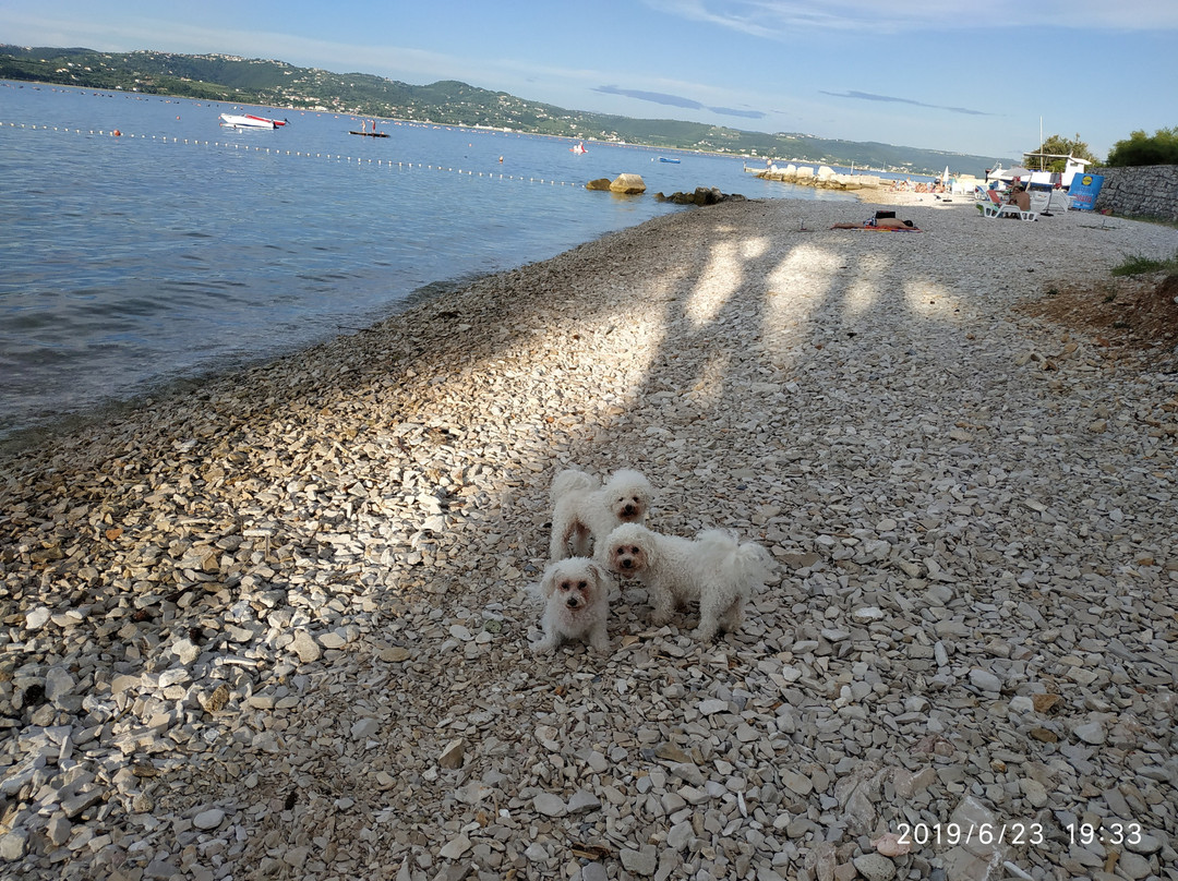 Apartments Kanegra Plava Laguna主图