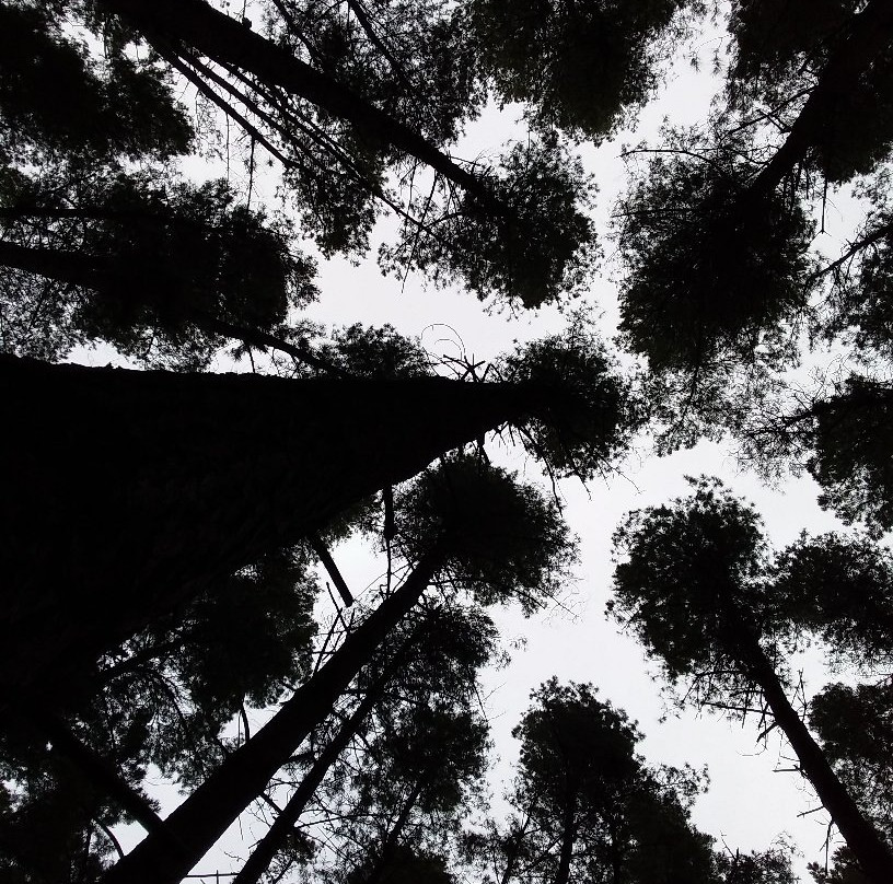 Mount Franklin-Hepburn Springs必去景点