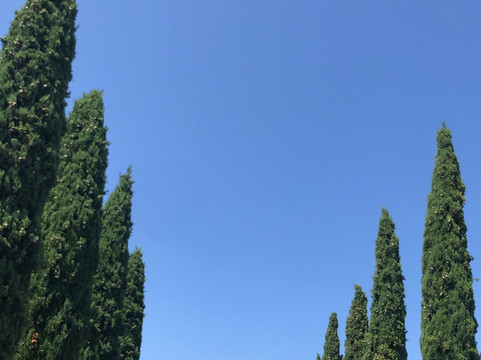 Alloro Vineyard-Sherwood必去景点