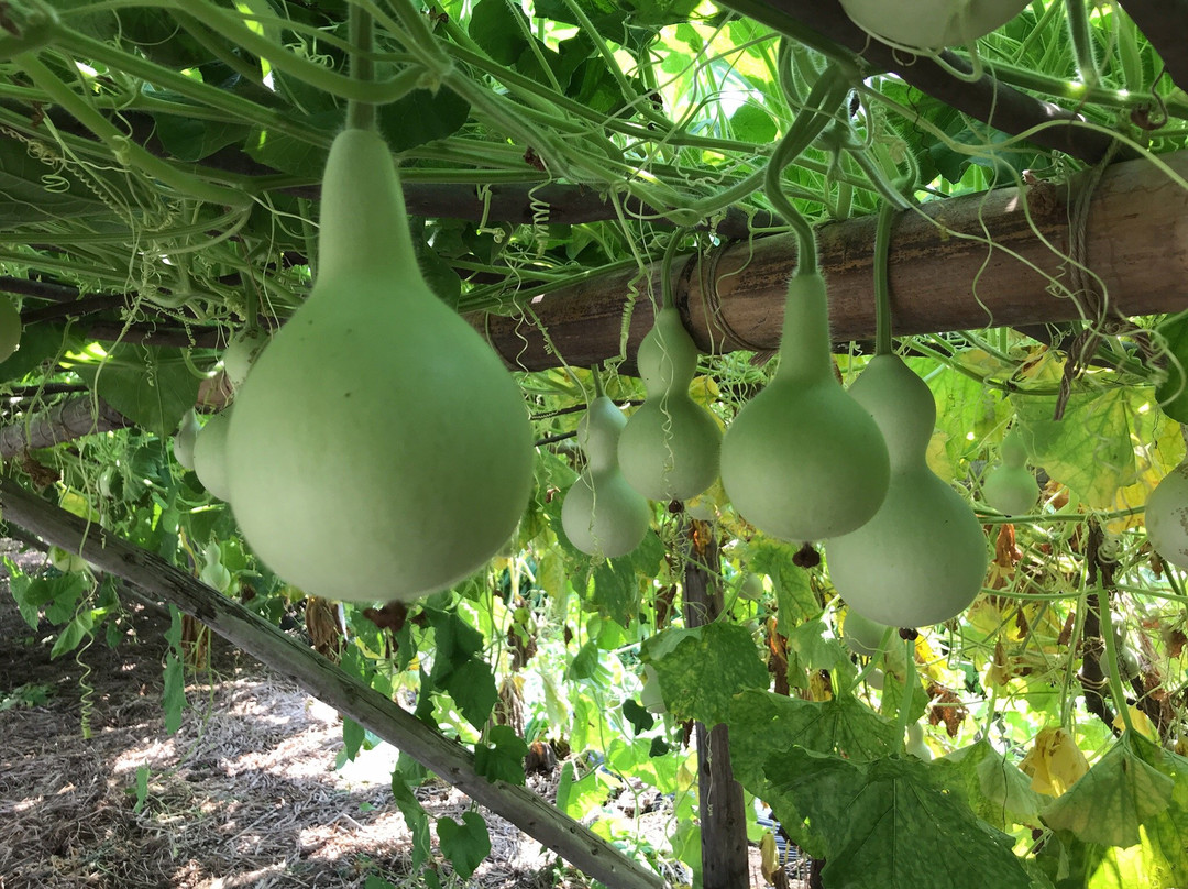 Tsunan Agriculture and Jomon Era Experience Training Hall Najomon-津南町必去景点